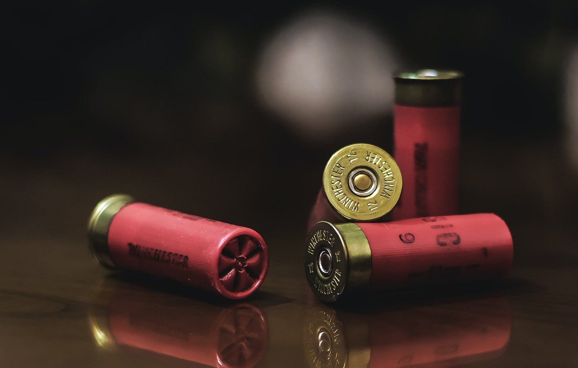 Best Shotgun Shells for Home Defense & Hunting Chosen by