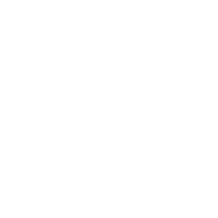 Glock 43X IWB Holster | RIDGE IWB